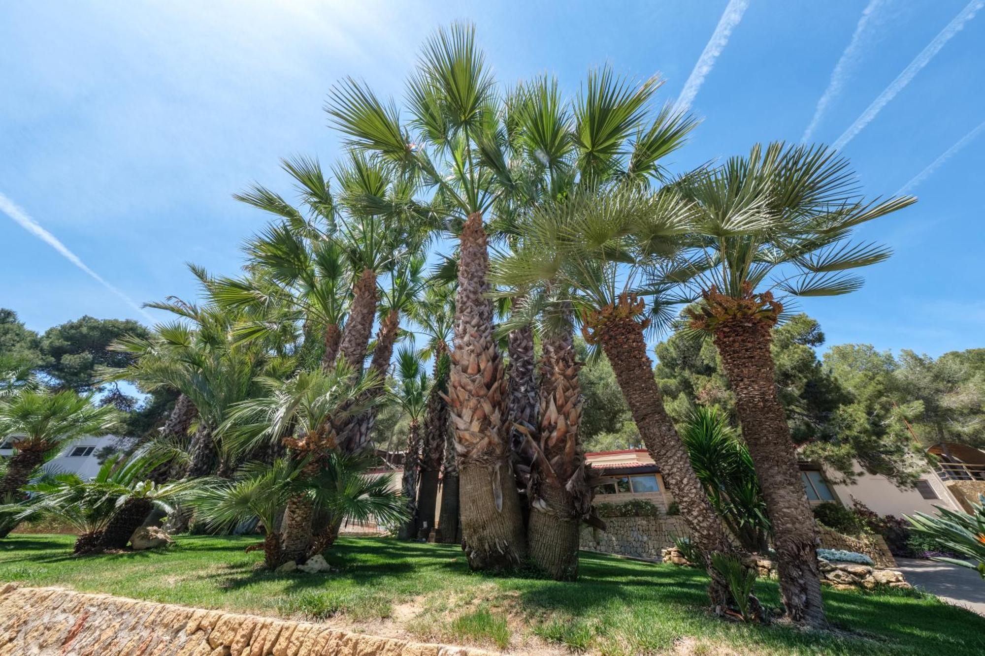 Camping Estival Torre De La Mora Tamarit Exterior photo